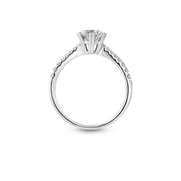 Luminous Halo Ring in White Gold