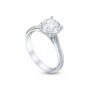 Perfection Grace Solitaire in White Gold